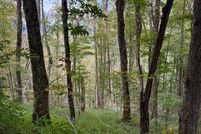 Undeveloped Land for sale in Ashe County, North Carolina