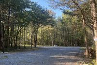 Undeveloped Land for sale in Page County, Virginia