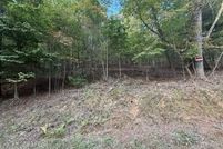 Undeveloped Land for sale in Fannin County, Georgia