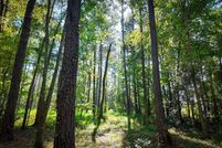 Undeveloped Land for sale in Grady County, Georgia
