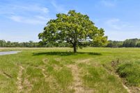 Undeveloped Land for sale in Camp County, Texas