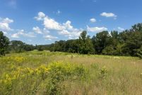 Land for sale in Pike County, Alabama