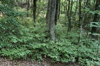 Timberland Property for sale in Rabun County, Georgia