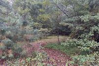 Land for sale in Isle of Wight County, Virginia