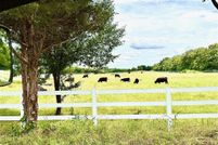 Land for sale in Cooke County, Texas