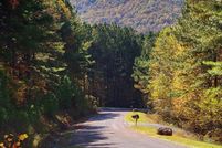 Undeveloped Land for sale in Gilmer County, Georgia