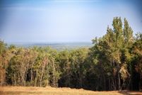 Land for sale in Sumter County, South Carolina