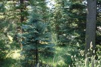 Homesite for sale in Valley County, Idaho