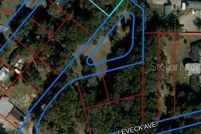 Undeveloped Land for sale in Levy County, Florida