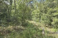Land for sale in Levy County, Florida