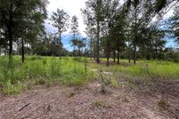 Land for sale in Marion County, Florida
