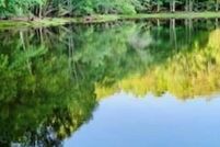 Undeveloped Land for sale in Fayette County, Georgia