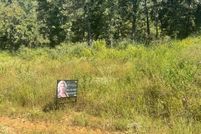 Undeveloped Land for sale in Leon County, Texas