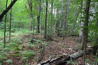 Undeveloped Land for sale in Windsor County, Vermont