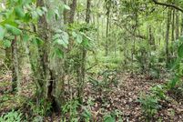 Land for sale in Putnam County, Florida