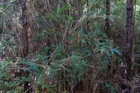 Land for sale in Suffolk City County, Virginia
