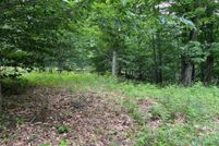 Homesite for sale in Leelanau County, Michigan