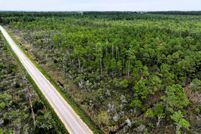Timberland Property for sale in Pamlico County, North Carolina