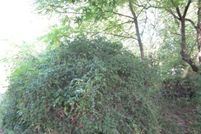 Farm and Ranch for sale in Beaver County, Pennsylvania