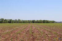 Land for sale in Falls County, Texas