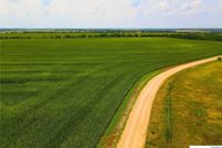 Land for sale in Milam County, Texas