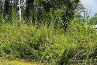 Homesite for sale in Hawaii County, Hawaii