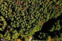 Land for sale in Windsor County, Vermont