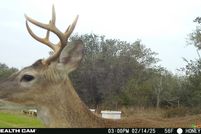 Land for sale in Jackson County, Texas