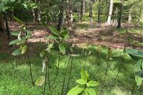 Land for sale in Cambria County, Pennsylvania