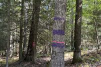 Land for sale in Preston County, West Virginia