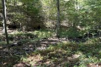 Undeveloped Land for sale in Preston County, West Virginia