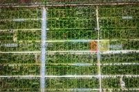 Undeveloped Land for sale in Polk County, Florida