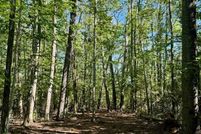 Land for sale in Cheboygan County, Michigan