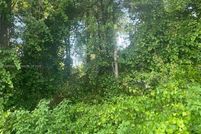 Undeveloped Land for sale in Marion County, Florida