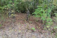 Homesite for sale in Saline County, Arkansas