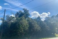 Undeveloped Land for sale in Flagler County, Florida