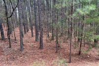 Land for sale in Saline County, Arkansas