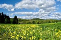 Timberland Property for sale in Berkshire County, Massachusetts