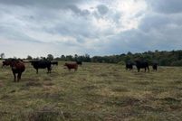 Land for sale in Fleming County, Kentucky