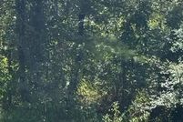 Farm and Ranch for sale in McCurtain County, Oklahoma