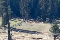 Land for sale in Idaho County, Idaho