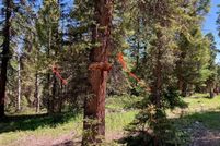 Land for sale in Gunnison County, Colorado