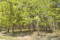Land for sale in Delta County, Michigan