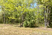 Land for sale in Delta County, Michigan