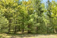 Hunting Property for sale in Delta County, Michigan