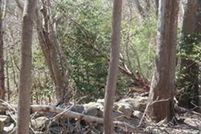 Farm and Ranch for sale in Plymouth County, Massachusetts