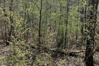 Land for sale in Saint Clair County, Alabama