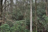 Land for sale in McDowell County, North Carolina