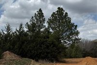 Homesite for sale in Johnson County, Texas