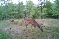 Land for sale in Navarro County, Texas